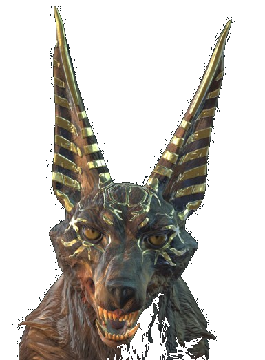 Jackal